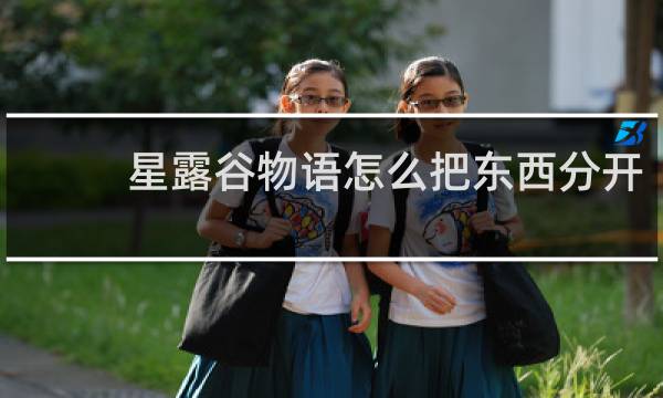 星露谷物语怎么把东西分开