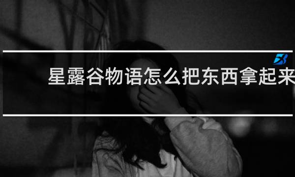 星露谷物语怎么把东西拿起来
