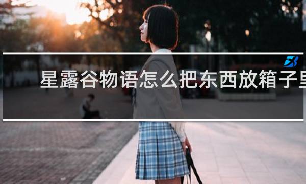星露谷物语怎么把东西放箱子里