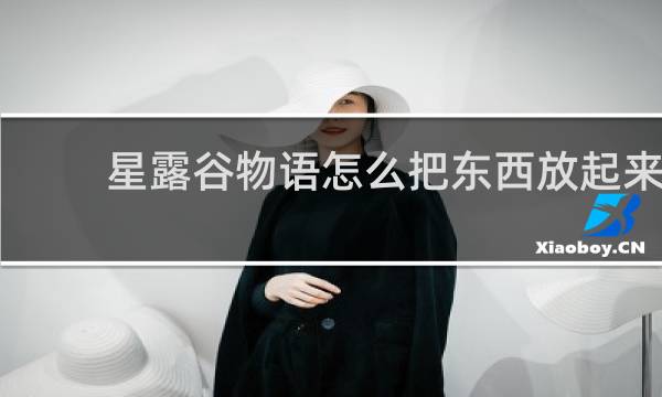 星露谷物语怎么把东西放起来