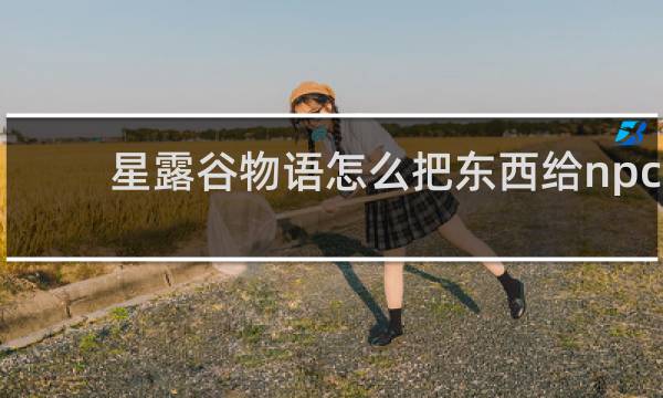 星露谷物语怎么把东西给npc