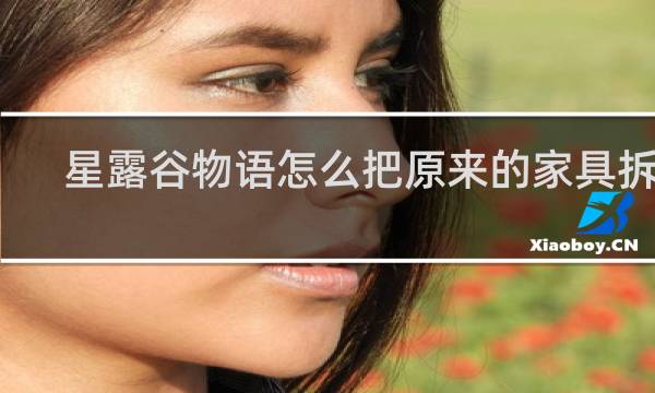 星露谷物语怎么把原来的家具拆了
