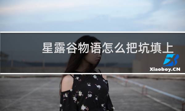 星露谷物语怎么把坑填上