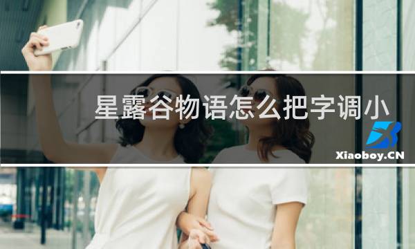 星露谷物语怎么把字调小