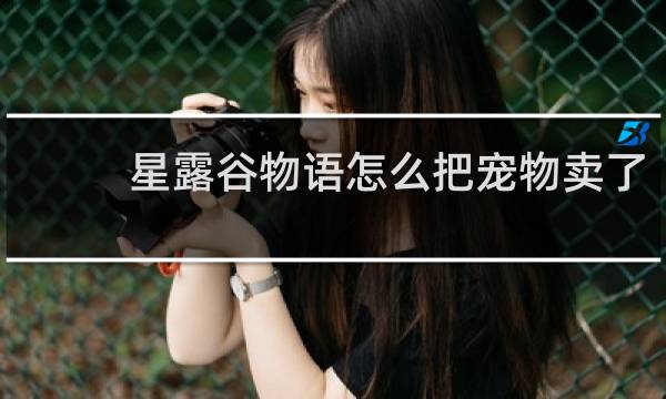 星露谷物语怎么把宠物卖了