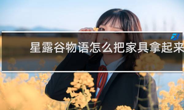 星露谷物语怎么把家具拿起来