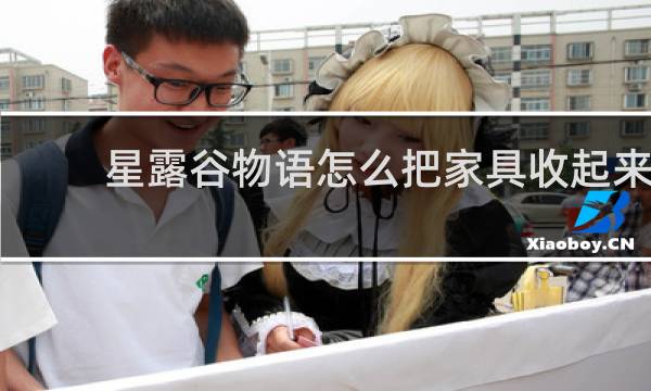 星露谷物语怎么把家具收起来