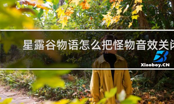 星露谷物语怎么把怪物音效关闭