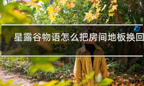 星露谷物语怎么把房间地板换回来