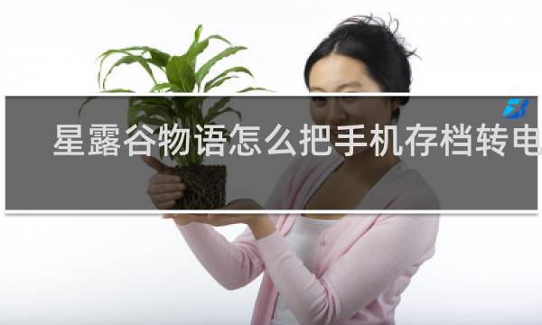 星露谷物语怎么把手机存档转电脑