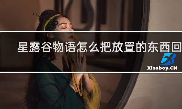 星露谷物语怎么把放置的东西回收