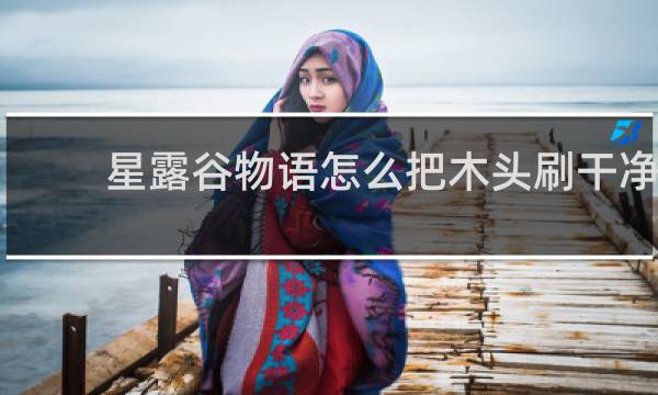 星露谷物语怎么把木头刷干净