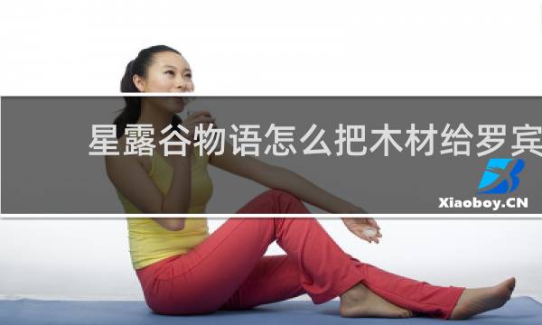 星露谷物语怎么把木材给罗宾