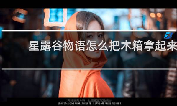 星露谷物语怎么把木箱拿起来