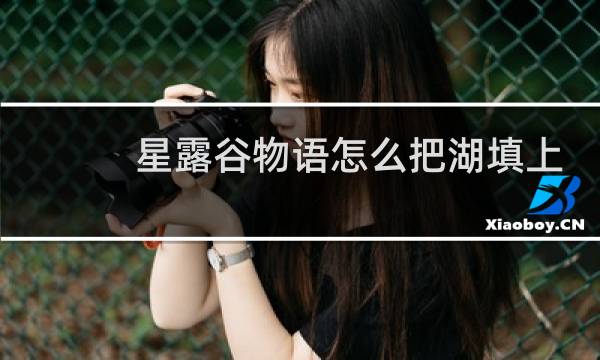 星露谷物语怎么把湖填上