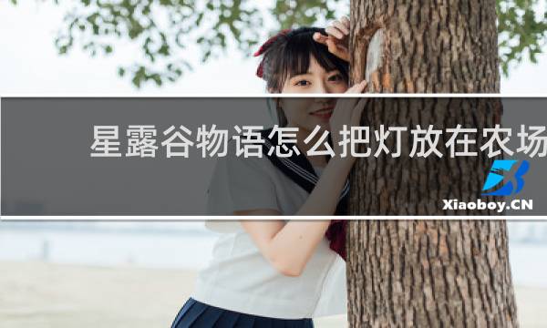星露谷物语怎么把灯放在农场