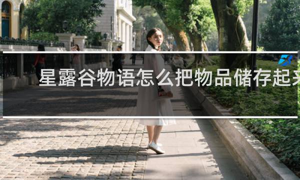 星露谷物语怎么把物品储存起来