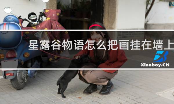星露谷物语怎么把画挂在墙上