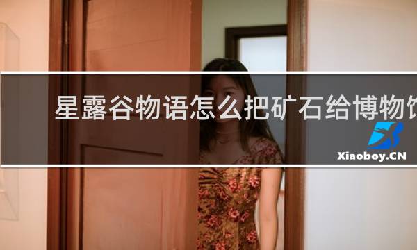星露谷物语怎么把矿石给博物馆