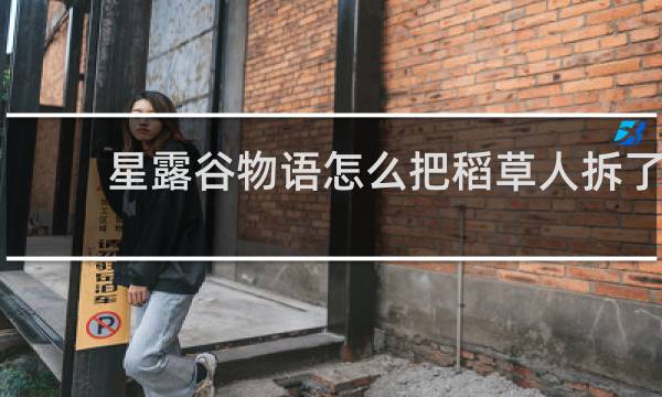 星露谷物语怎么把稻草人拆了