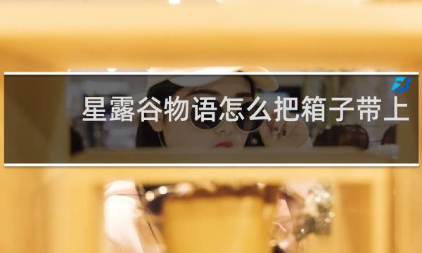 星露谷物语怎么把箱子带上