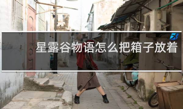 星露谷物语怎么把箱子放着