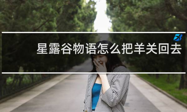 星露谷物语怎么把羊关回去