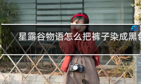 星露谷物语怎么把裤子染成黑色