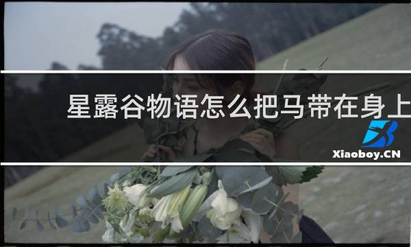 星露谷物语怎么把马带在身上