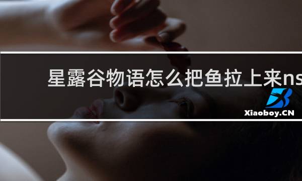 星露谷物语怎么把鱼拉上来ns