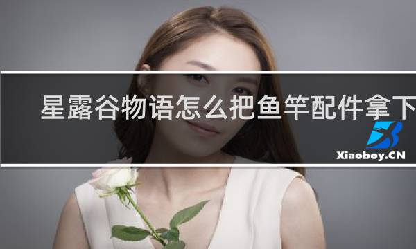 星露谷物语怎么把鱼竿配件拿下来
