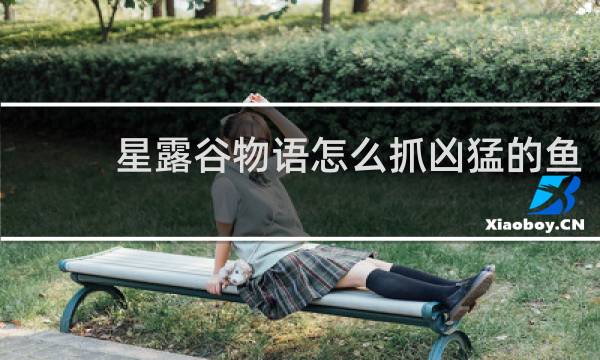 星露谷物语怎么抓凶猛的鱼
