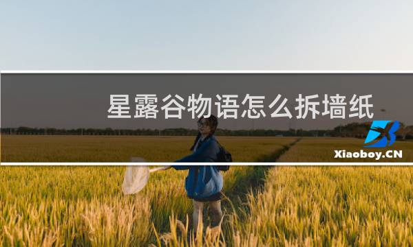 星露谷物语怎么拆墙纸