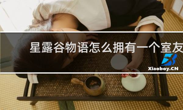 星露谷物语怎么拥有一个室友