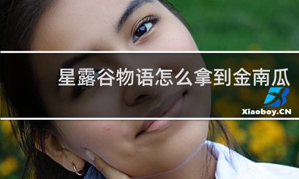 星露谷物语怎么拿到金南瓜