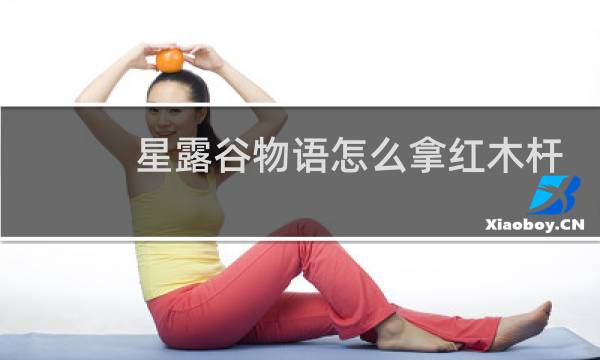 星露谷物语怎么拿红木杆