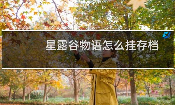 星露谷物语怎么挂存档