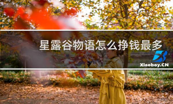星露谷物语怎么挣钱最多