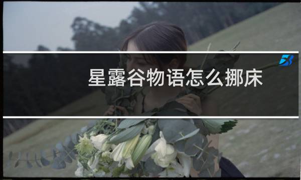 星露谷物语怎么挪床