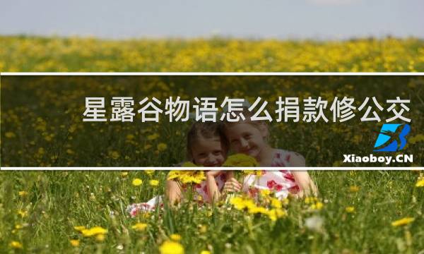 星露谷物语怎么捐款修公交