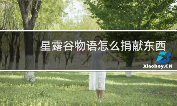 星露谷物语怎么捐献东西