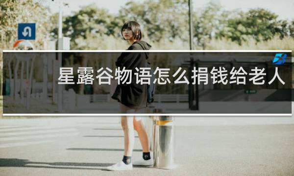 星露谷物语怎么捐钱给老人