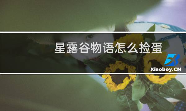 星露谷物语怎么捡蛋