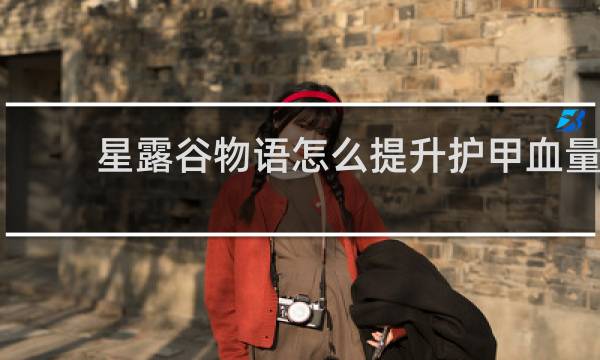 星露谷物语怎么提升护甲血量