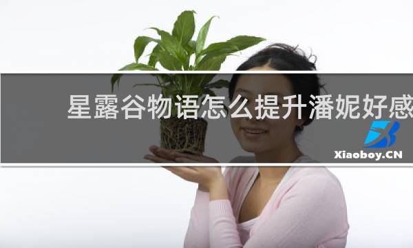 星露谷物语怎么提升潘妮好感