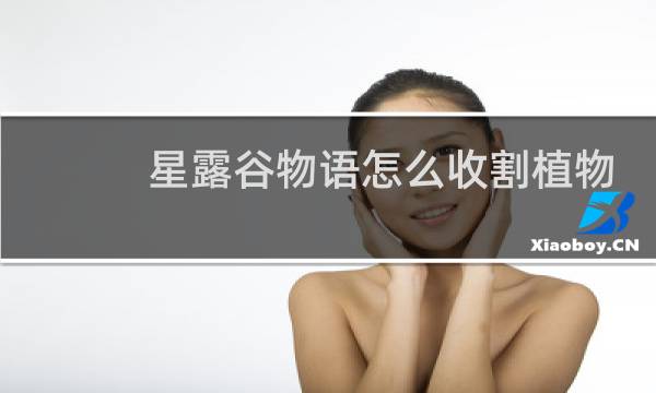 星露谷物语怎么收割植物