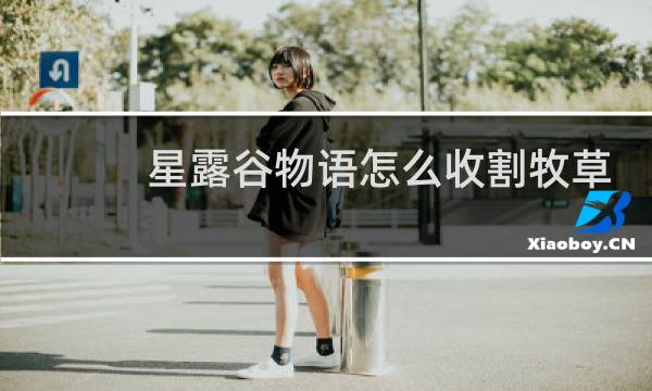 星露谷物语怎么收割牧草
