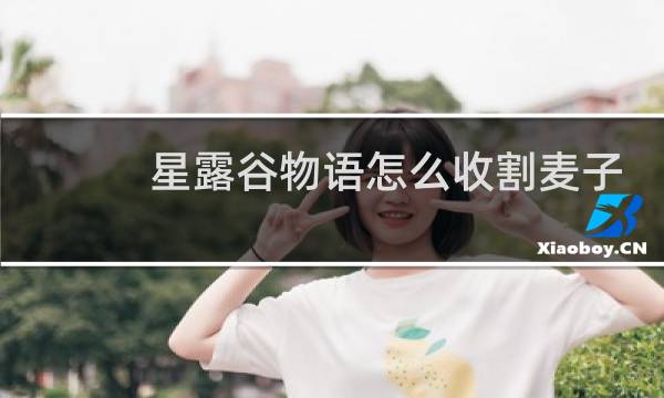 星露谷物语怎么收割麦子