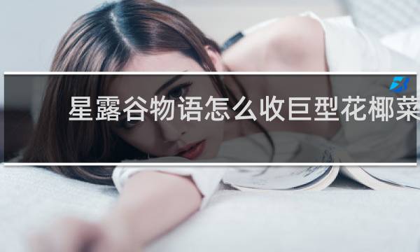 星露谷物语怎么收巨型花椰菜