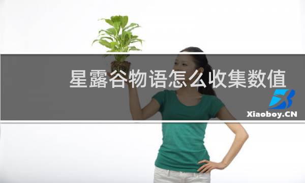 星露谷物语怎么收集数值